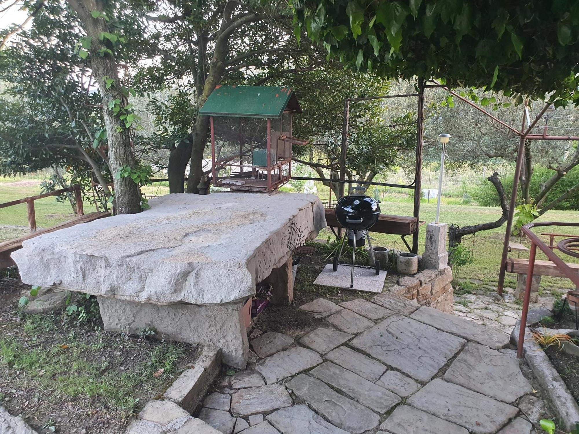 Apartma Vista Baredi อิซอลา ภายนอก รูปภาพ